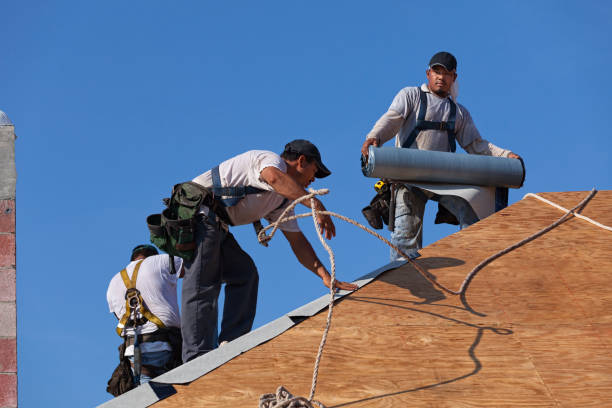 Roof Gutter Cleaning in Little Elm, TX