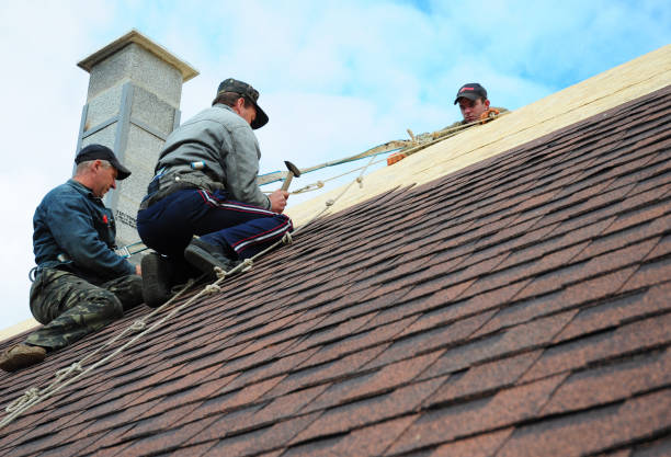 Roof Waterproofing Services in Little Elm, TX